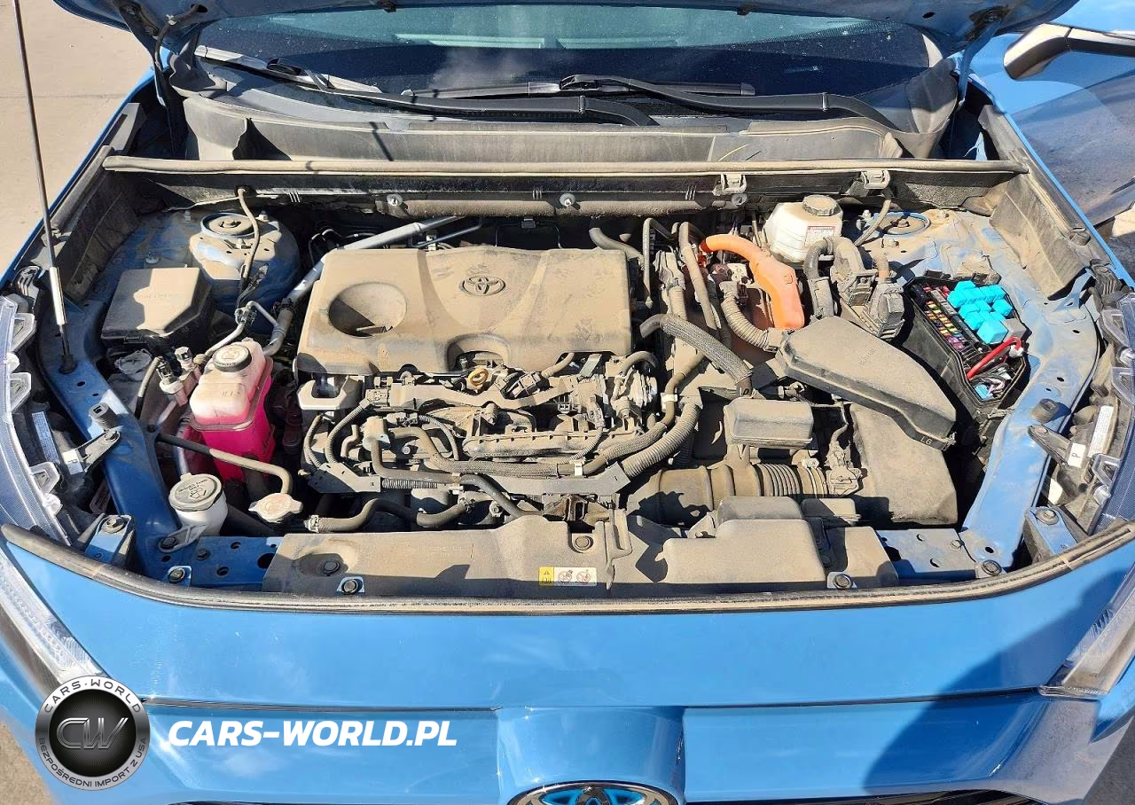 2022 Toyota Rav4 Se VIN:4T3T6RFV0NU070491 - 12