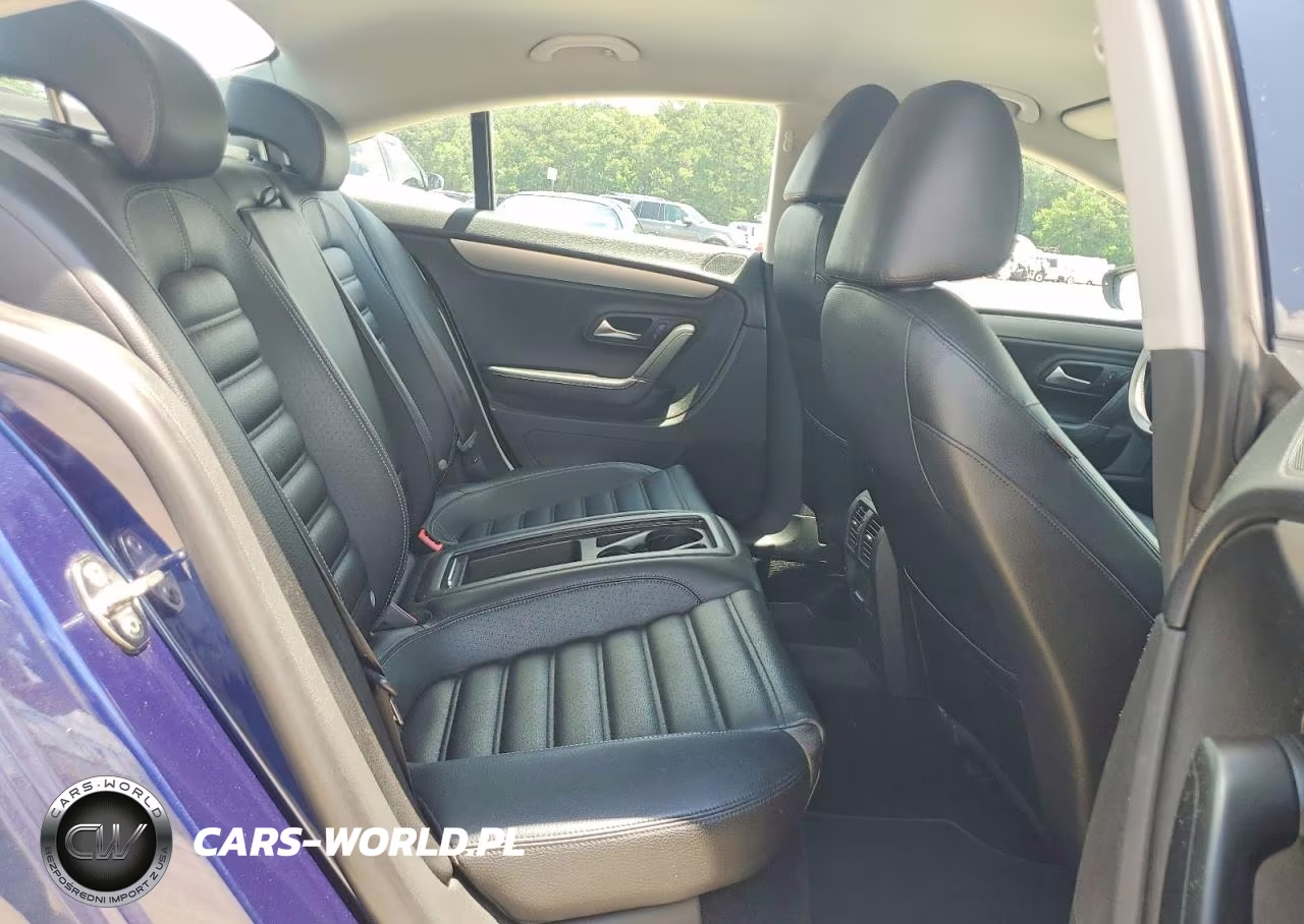2010 Volkswagen Cc Sport VIN:WVWMN7AN7AE559829 - 10