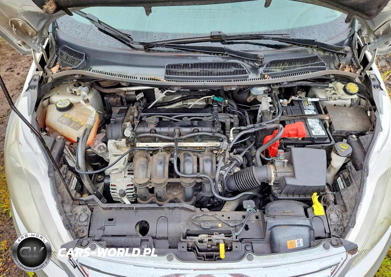 2013 Ford Fiesta Se VIN:3FADP4BJ5DM208409 - 11