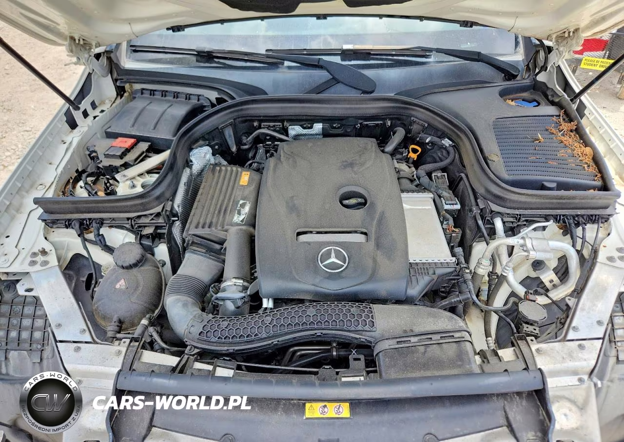2019 Mercedes-Benz Glc 300 VIN:WDC0G4JBXK1005541 - 12