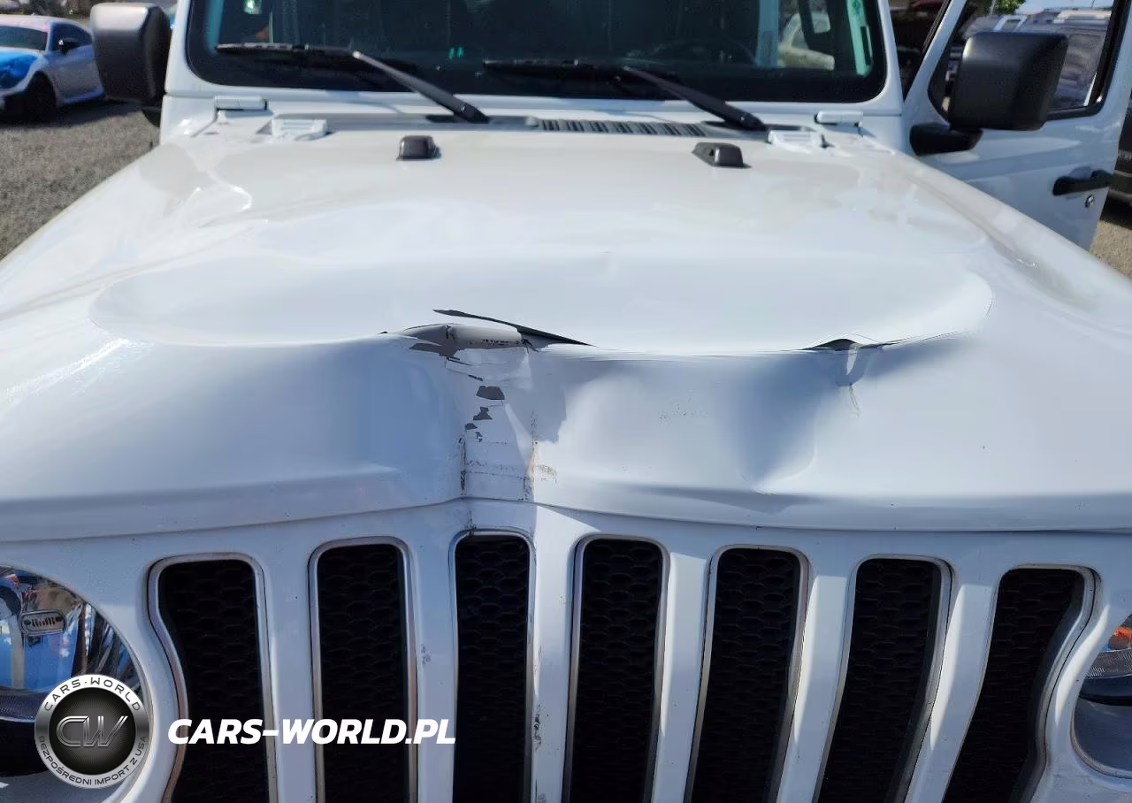 2020 Jeep Wrangler Unlimited Sahara VIN:1C4HJXEN9LW231302 - 12