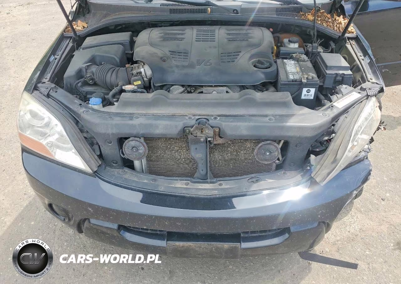 2008 Kia Sorento Lx VIN:KNDJC735685842819 - 12