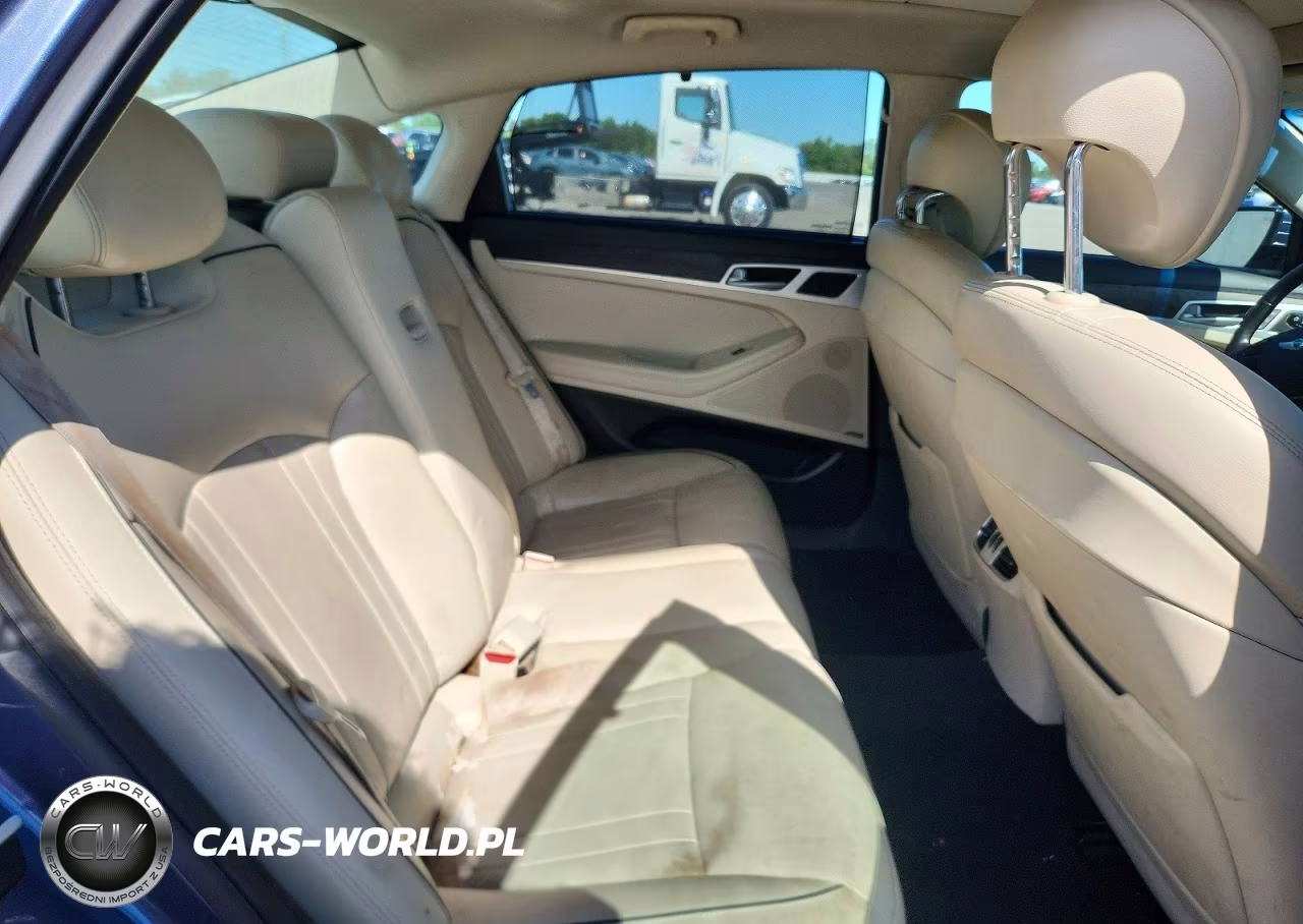 2016 Hyundai Genesis 3.8L VIN:KMHGN4JE7GU108244 - 10