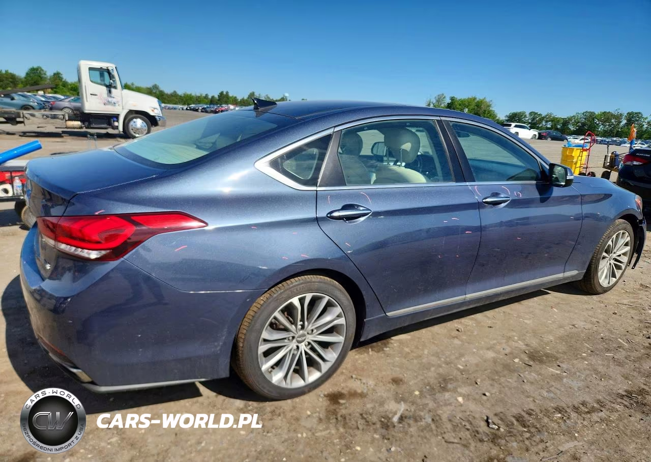 2016 Hyundai Genesis 3.8L VIN:KMHGN4JE7GU108244 - 3