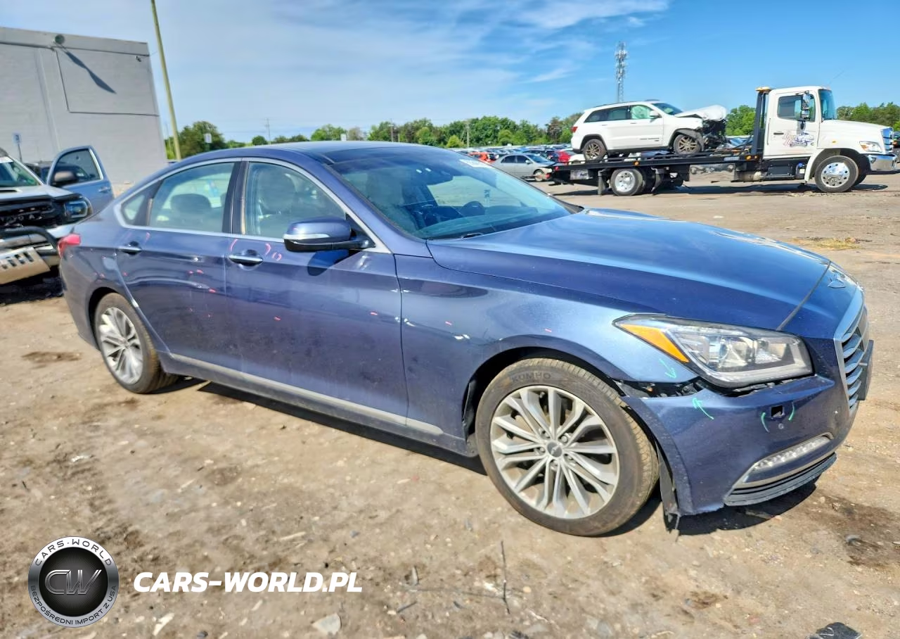 2016 Hyundai Genesis 3.8L VIN:KMHGN4JE7GU108244 - 4