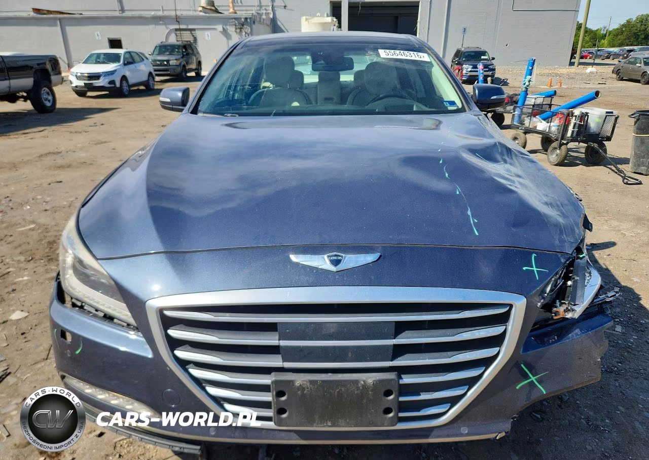 2016 Hyundai Genesis 3.8L VIN:KMHGN4JE7GU108244 - 5