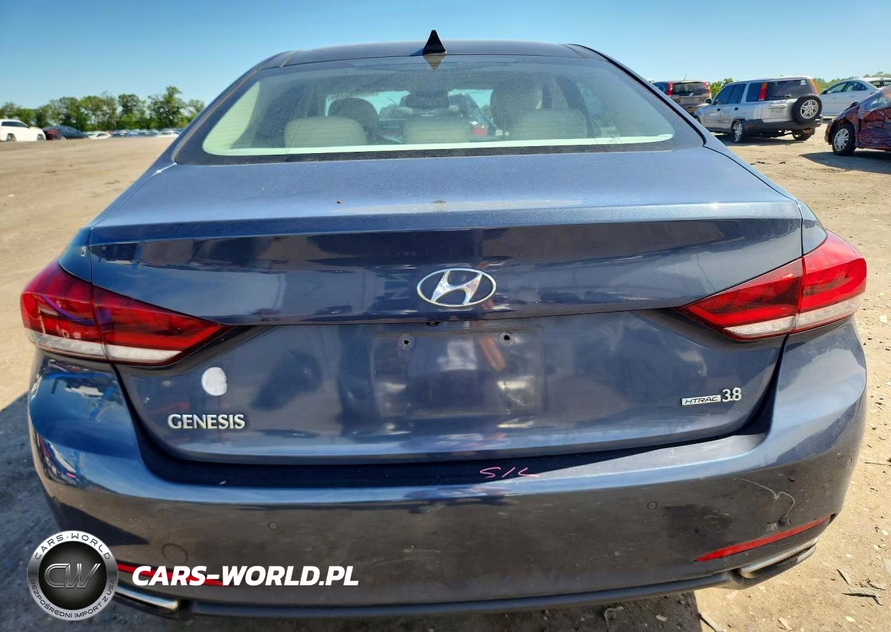 2016 Hyundai Genesis 3.8L VIN:KMHGN4JE7GU108244 - 6