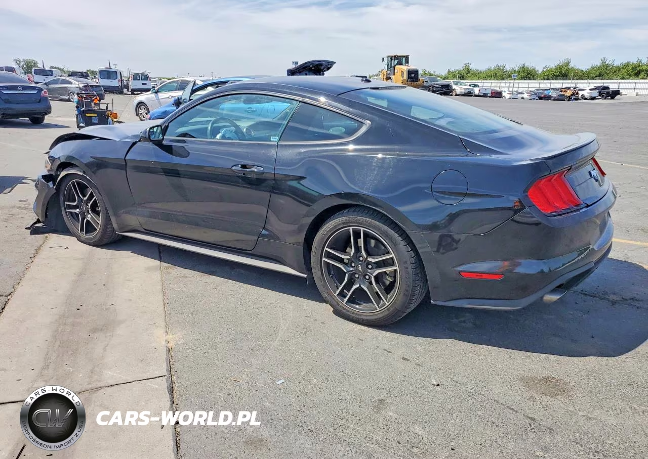 2020 Ford Mustang VIN:1FA6P8TH8L5103959 - 2