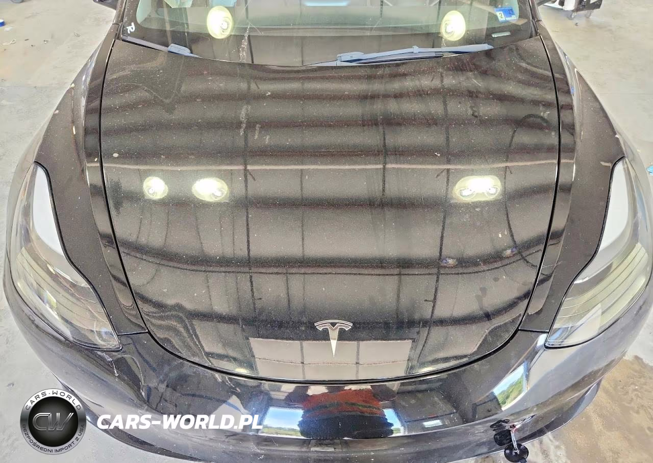 2023 Tesla Model 3 VIN:5YJ3E1EA0PF426773 - 11