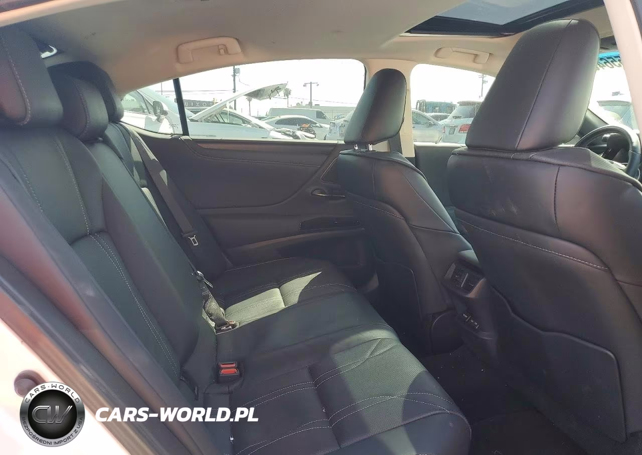 2025 Lexus Es 300H Luxury VIN:58AEA1C18SU074375 - 10