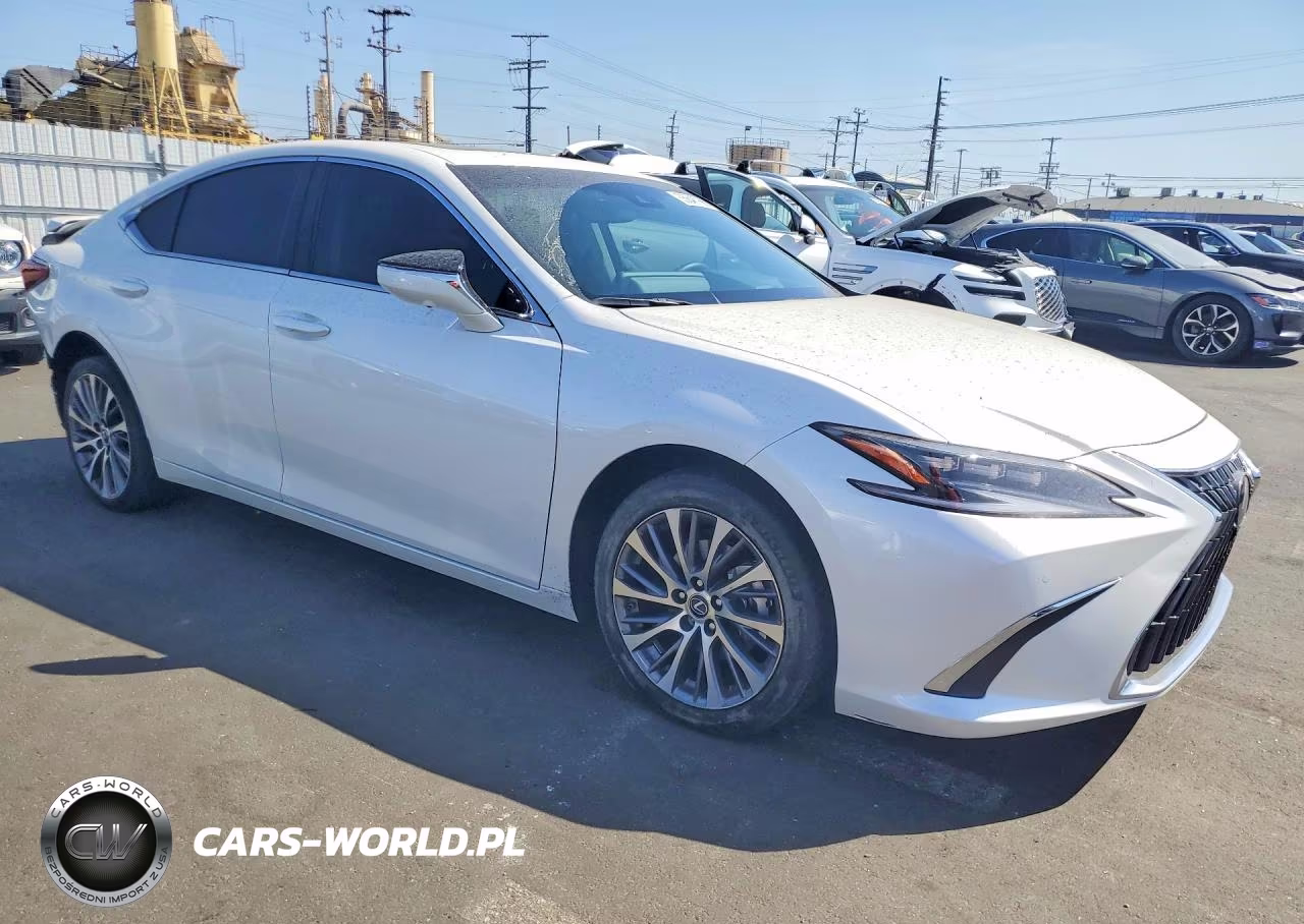 2025 Lexus Es 300H Luxury VIN:58AEA1C18SU074375 - 4