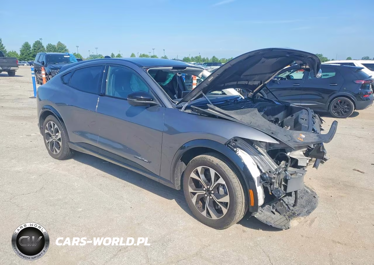 2023 Ford Mustang Mach-E Premium VIN:3FMTK3SU4PMA58317 - 4