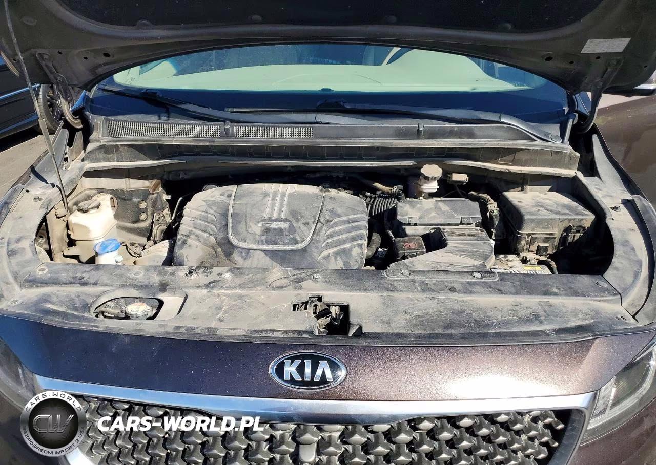 2017 Kia Sedona Sx Luxury VIN:KNDME5C15H6343979 - 12
