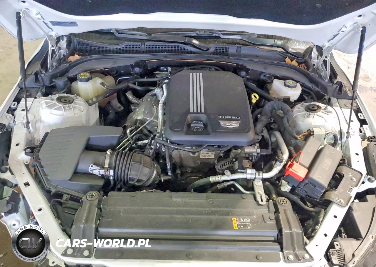 2022 Cadillac Ct4 Premium Luxury VIN:1G6DF5RK2N0121947 - 11