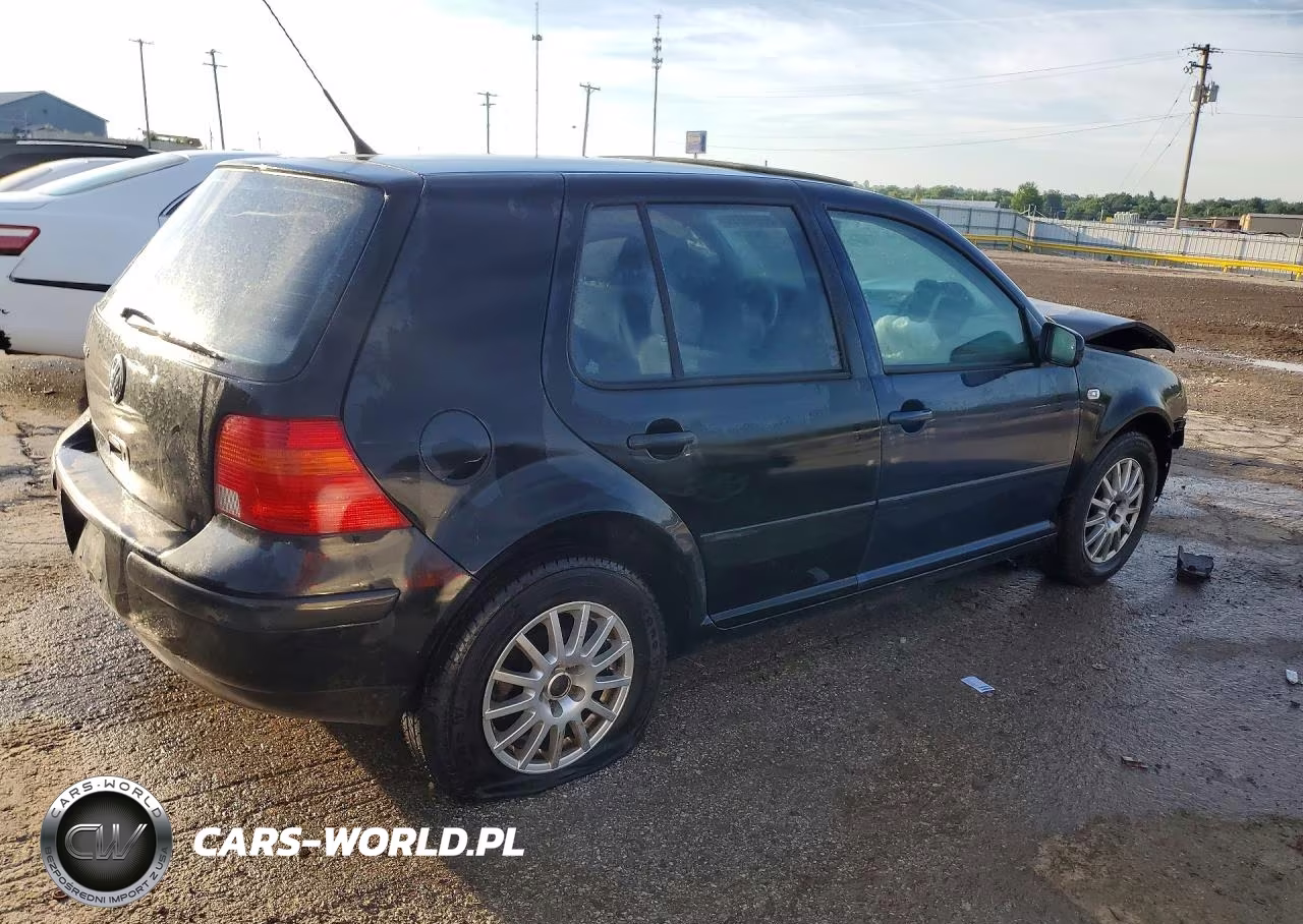 2003 Volkswagen Golf Gls VIN:9BWGK61J934035562 - 3