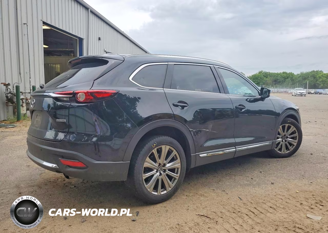 2021 Mazda Cx-9 Signature VIN:JM3TCBEY5M0529570 - 3