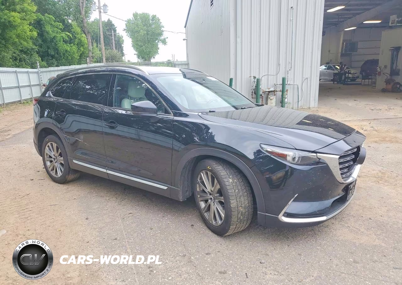 2021 Mazda Cx-9 Signature VIN:JM3TCBEY5M0529570 - 4