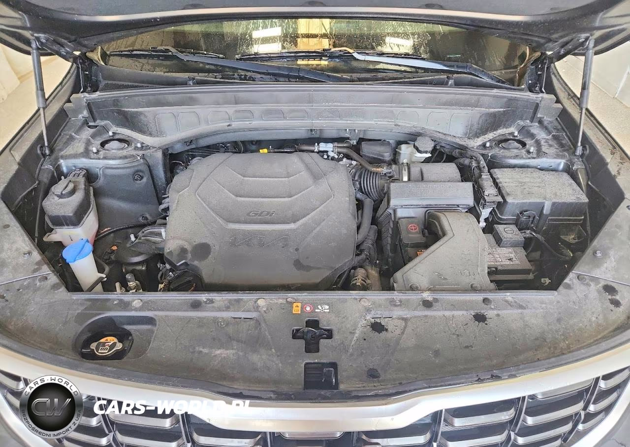 2025 Kia Telluride S VIN:5XYP6DGC6SG693450 - 11