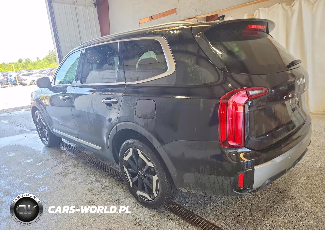 2025 Kia Telluride S VIN:5XYP6DGC6SG693450 - 2