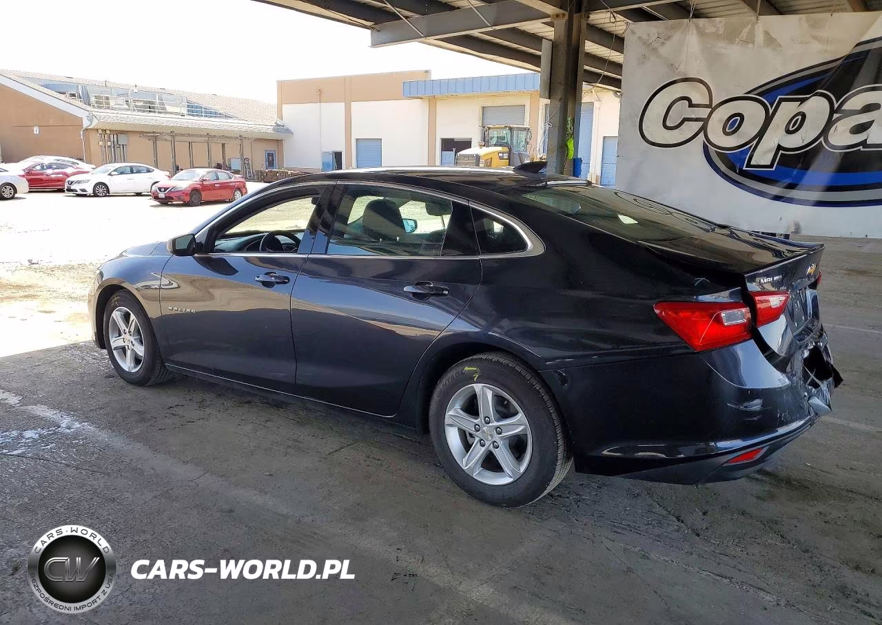 2023 Chevrolet Malibu Lt VIN:1G1ZD5STXPF169412 - 2