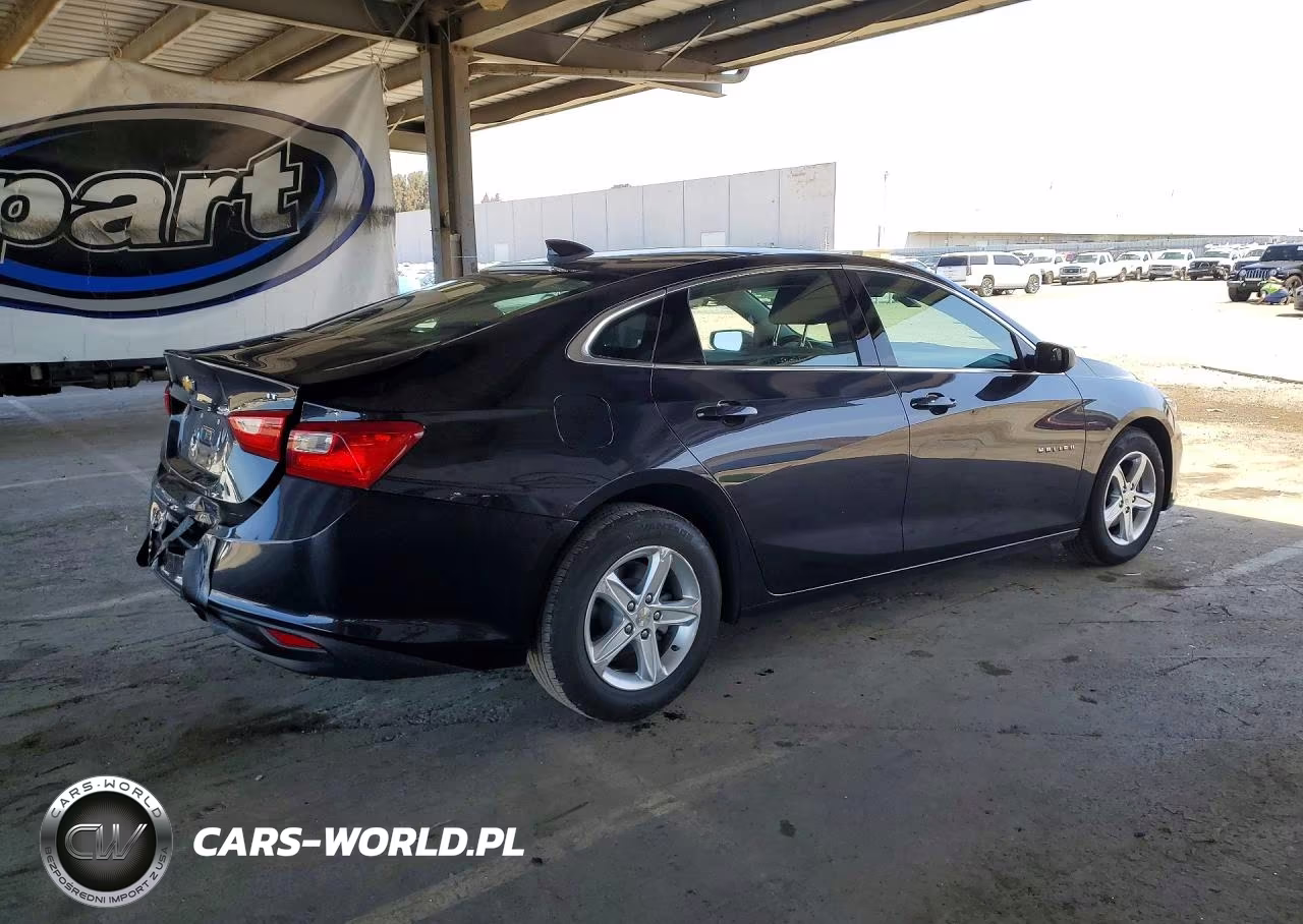 2023 Chevrolet Malibu Lt VIN:1G1ZD5STXPF169412 - 3