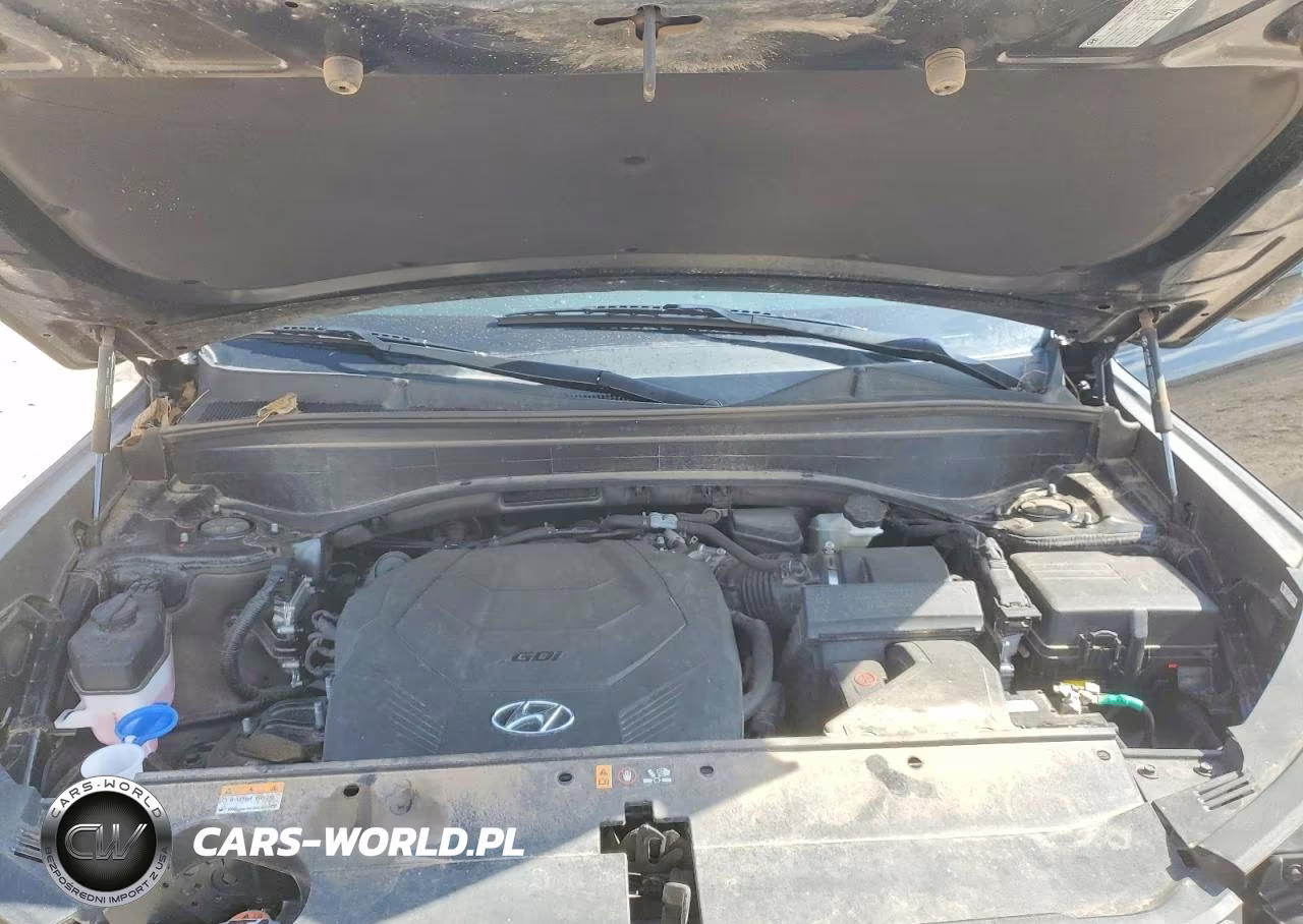 2024 Hyundai Palisade Sel Premium VIN:KM8R44GE9RU661564 - 12