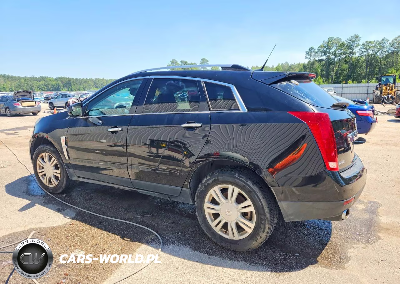 2010 Cadillac Srx Luxury Collection VIN:3GYFNAEYXAS521425 - 2