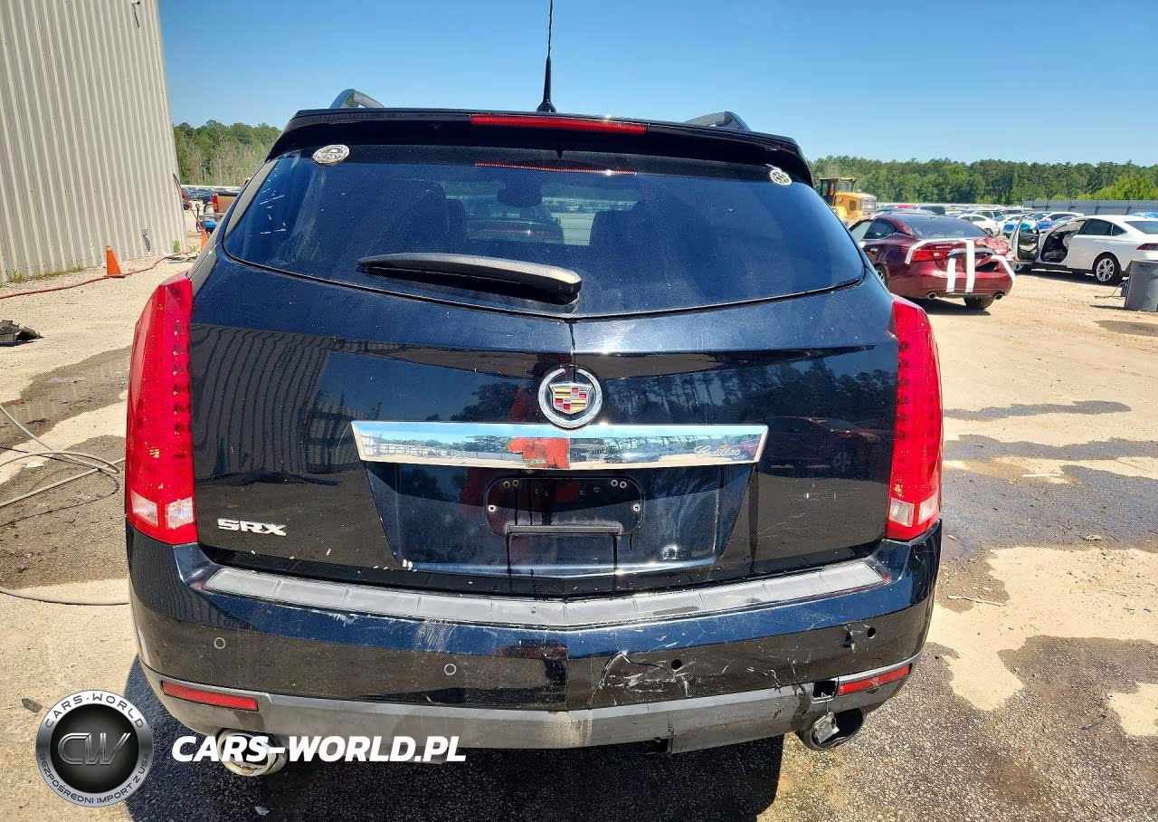 2010 Cadillac Srx Luxury Collection VIN:3GYFNAEYXAS521425 - 6