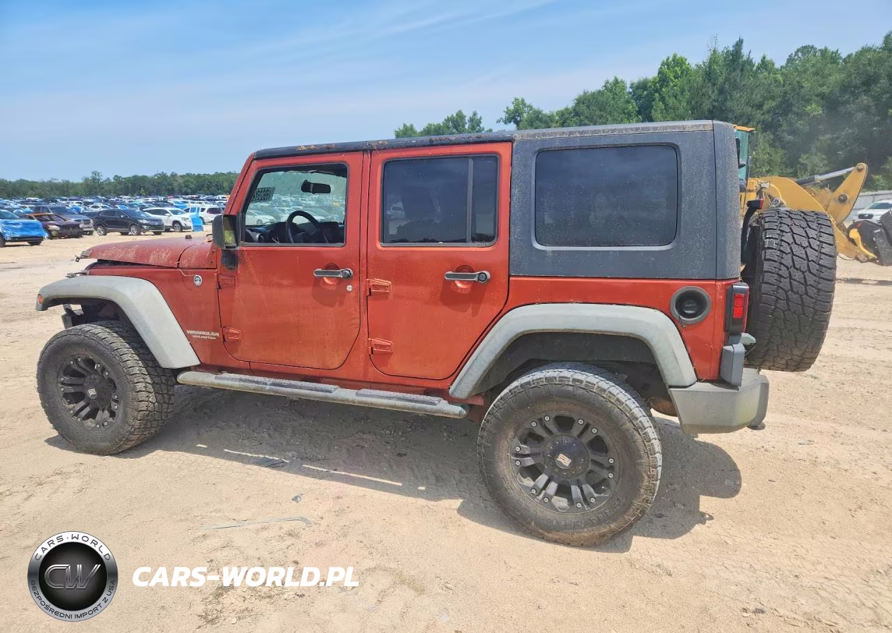 2009 Jeep Wrangler Unlimited Rubicon VIN:1J8GA69169L707666 - 2