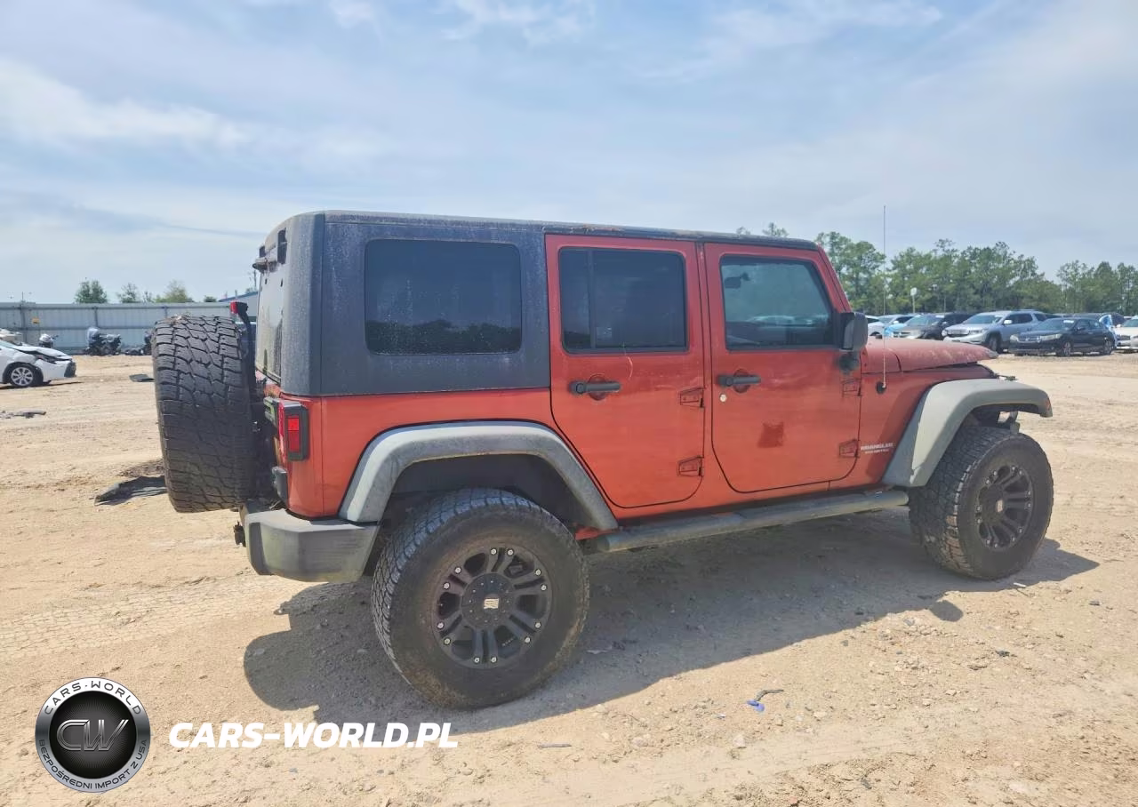 2009 Jeep Wrangler Unlimited Rubicon VIN:1J8GA69169L707666 - 3