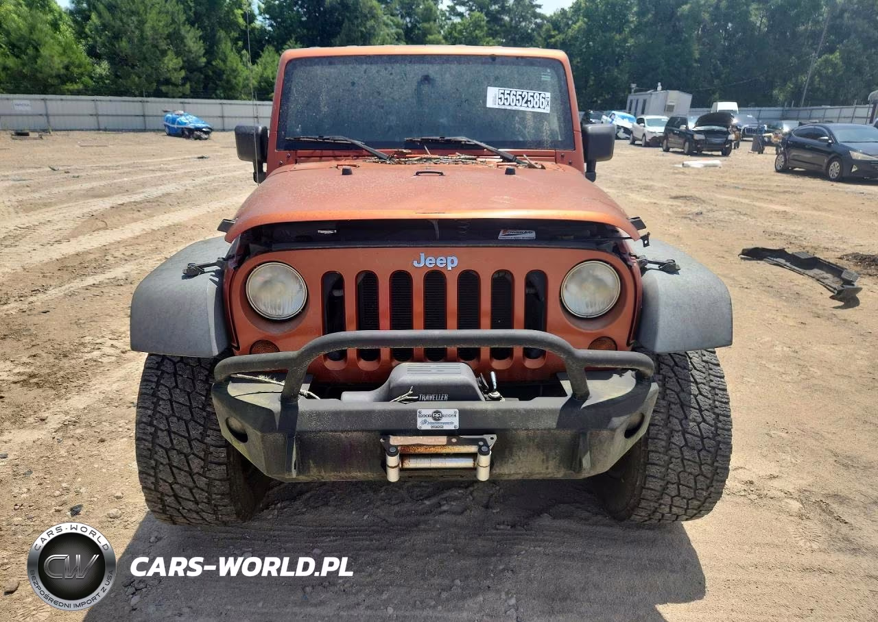 2009 Jeep Wrangler Unlimited Rubicon VIN:1J8GA69169L707666 - 5