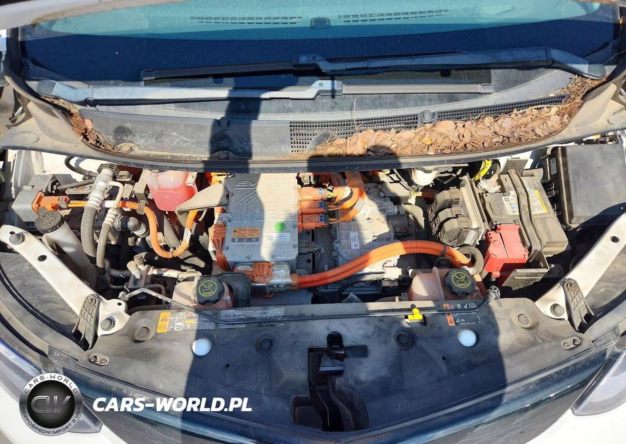 2019 Chevrolet Bolt Ev Premier VIN:1G1FZ6S0XK4103091 - 12
