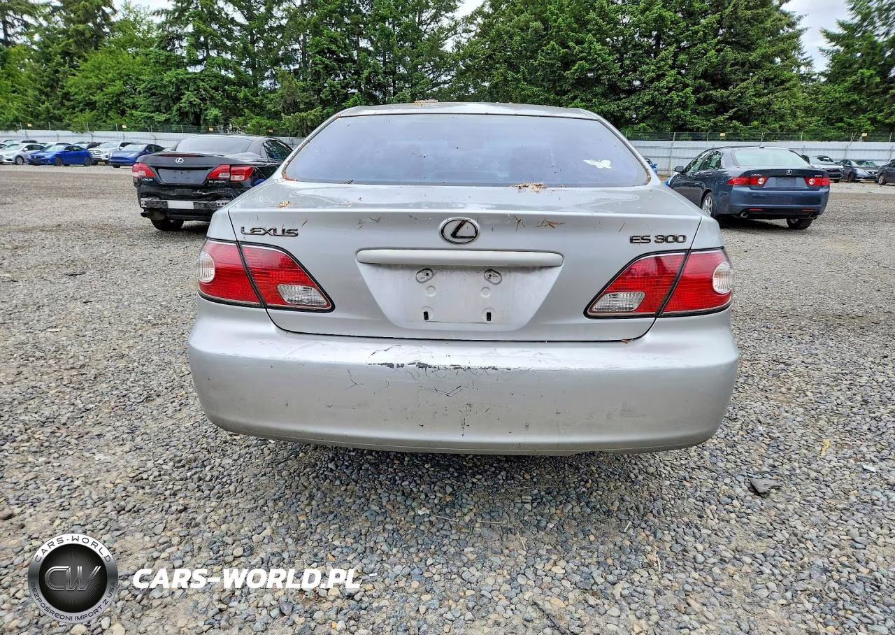 2002 Lexus Es 300 VIN:JTHBF30GX25027538 - 6