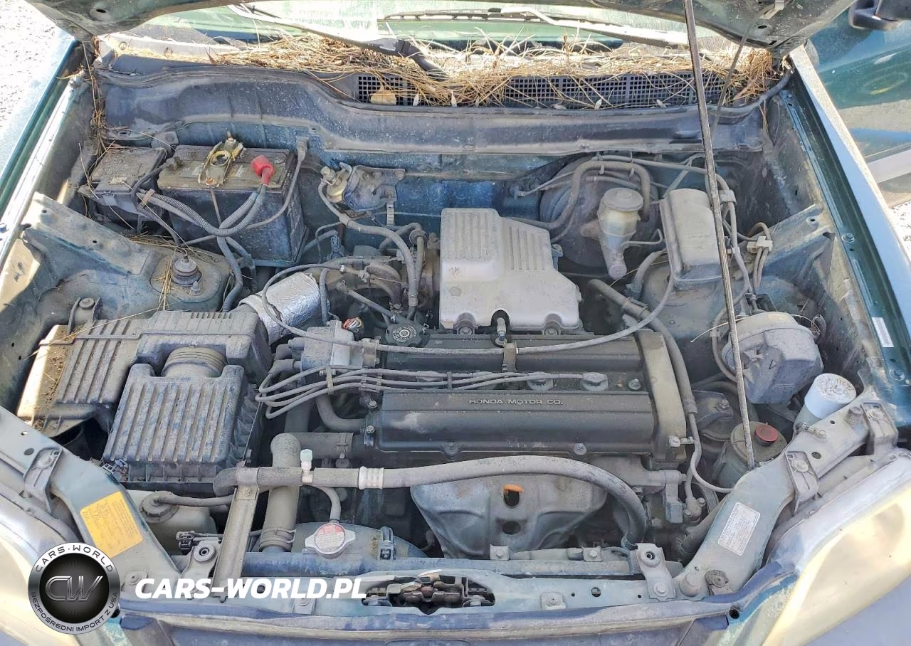 1999 Honda Cr-V Lx VIN:JHLRD1844XC020000 - 12