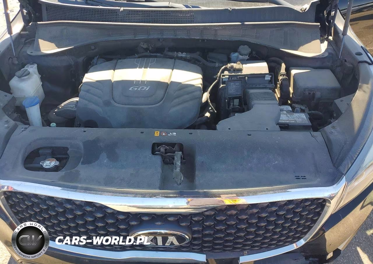 2017 Kia Sorento Lx VIN:5XYPGDA57HG335256 - 12