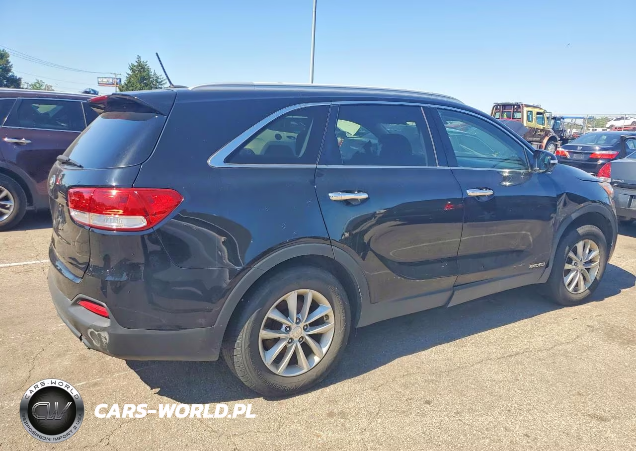 2017 Kia Sorento Lx VIN:5XYPGDA57HG335256 - 3