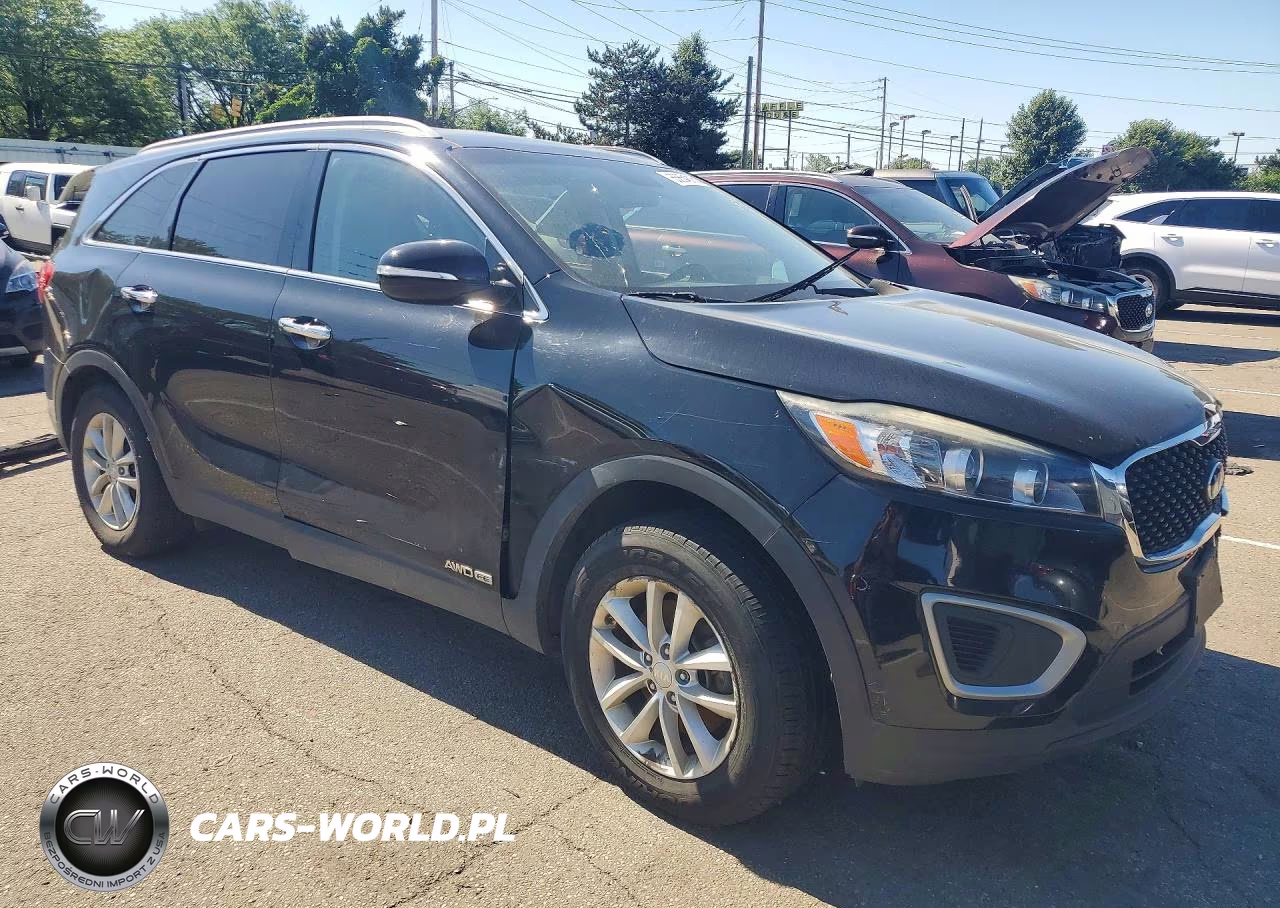 2017 Kia Sorento Lx VIN:5XYPGDA57HG335256 - 4