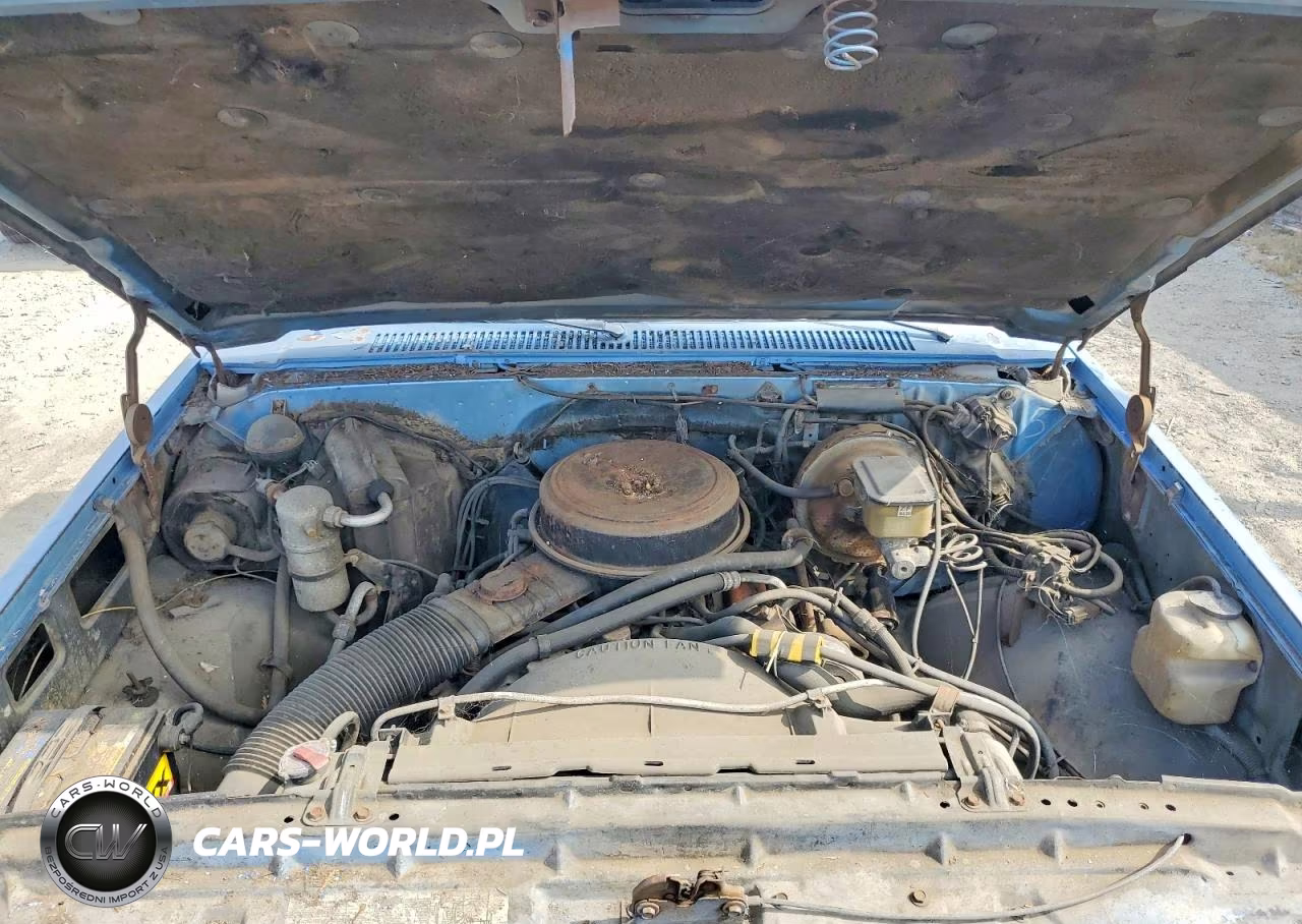 1982 Chevrolet C10 VIN:1GCEC14F9CF342162 - 11