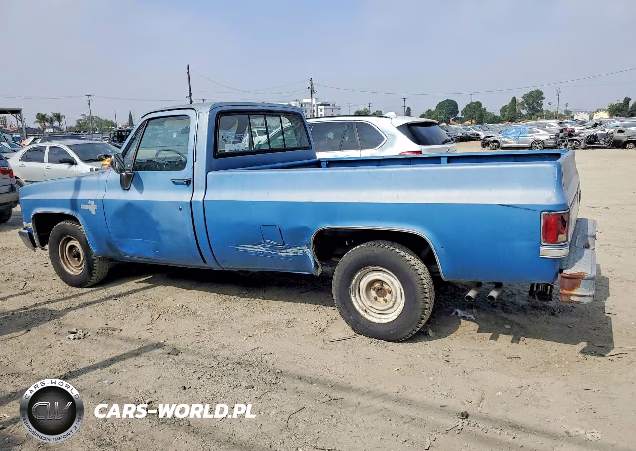 1982 Chevrolet C10 VIN:1GCEC14F9CF342162 - 2