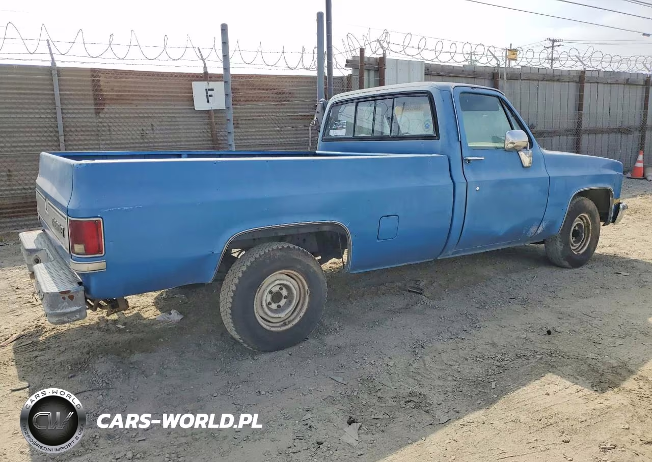 1982 Chevrolet C10 VIN:1GCEC14F9CF342162 - 3
