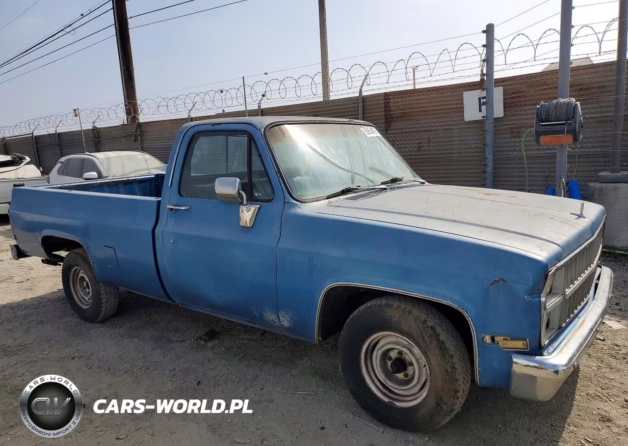 1982 Chevrolet C10 VIN:1GCEC14F9CF342162 - 4