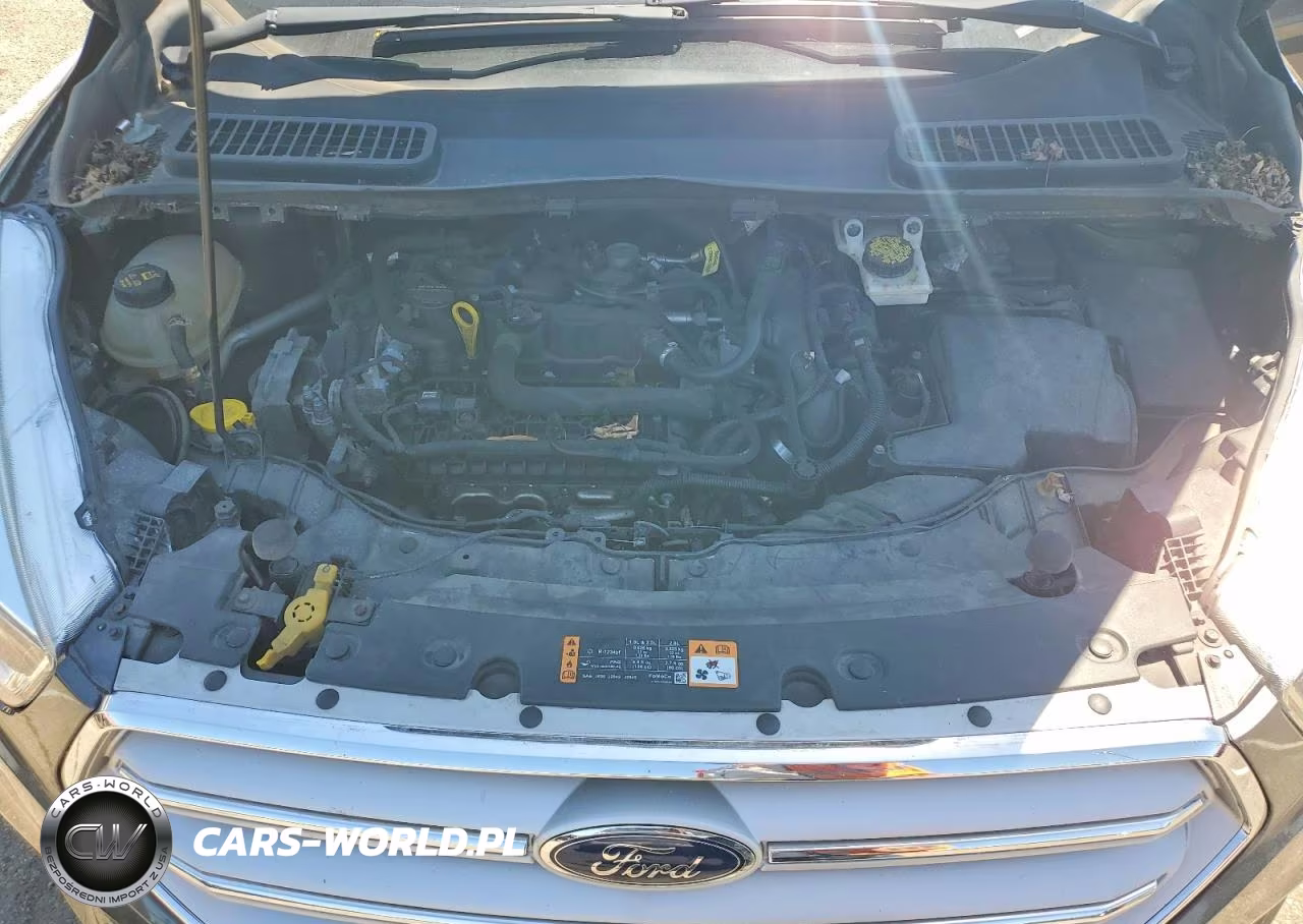 2019 Ford Escape Se VIN:1FMCU0GDXKUB11477 - 12