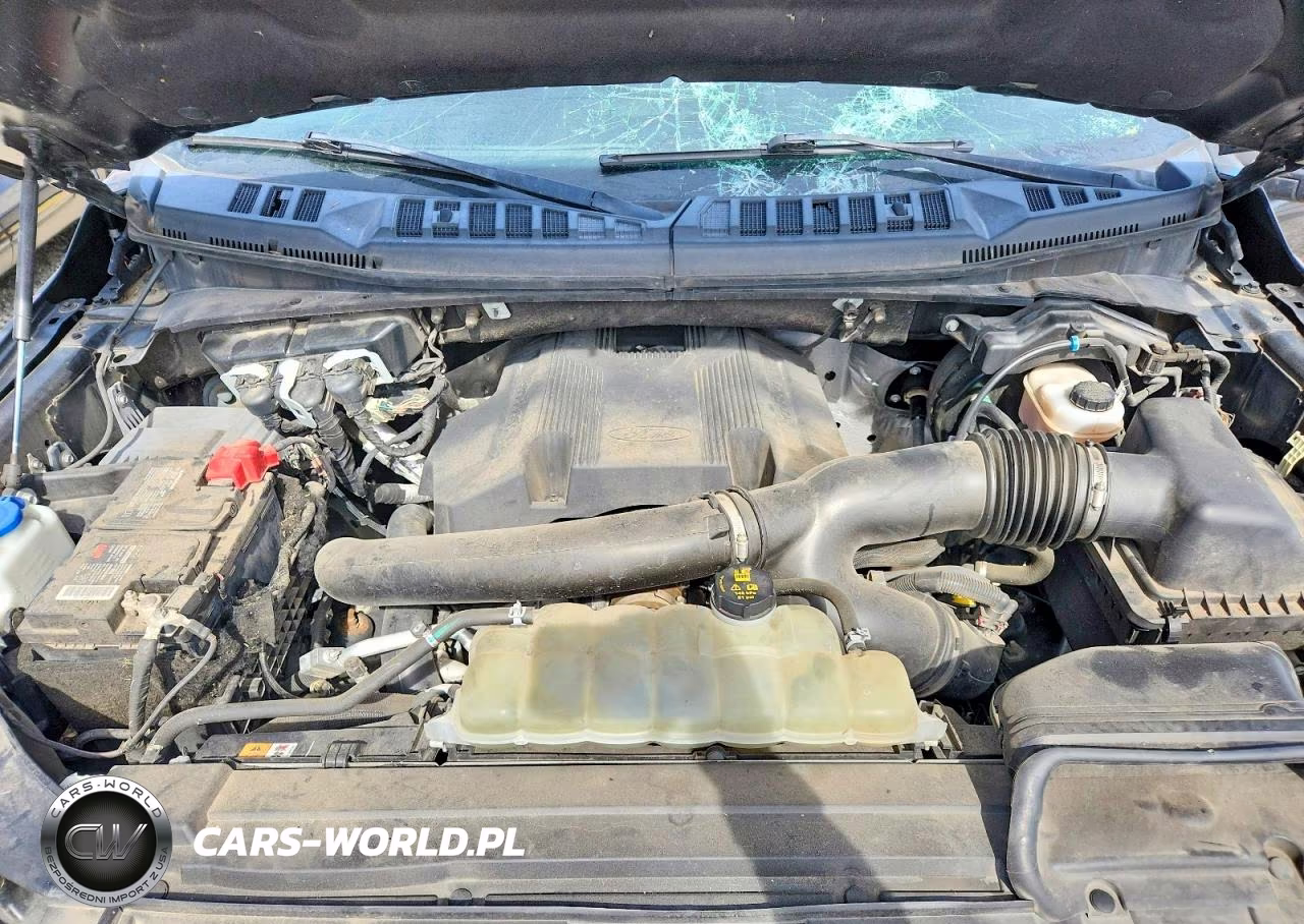 2020 Ford F150 Supercrew VIN:1FTEW1E45LFA70536 - 11