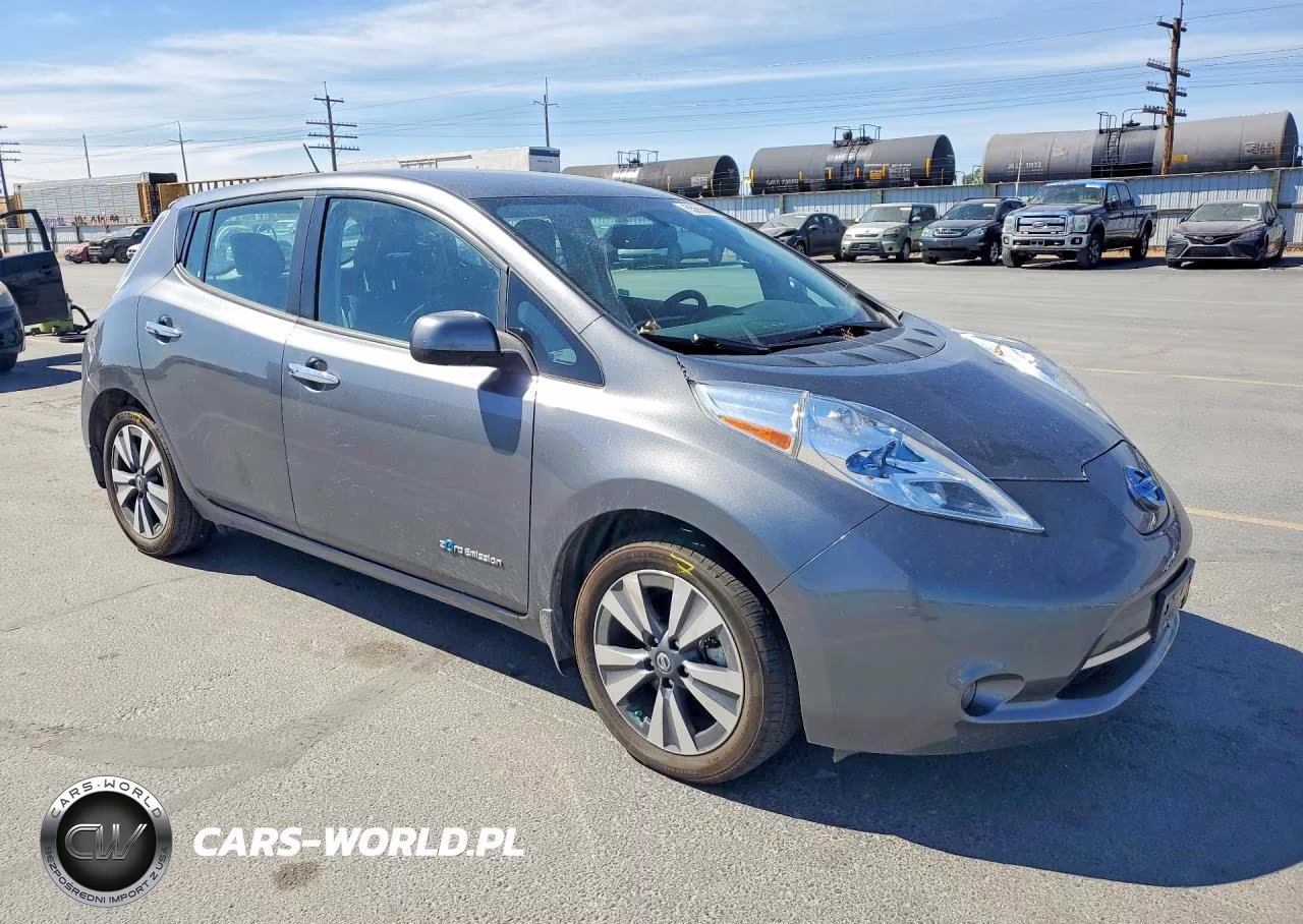 2016 Nissan Leaf S-30 VIN:1N4BZ0CP9GC313974 - 4