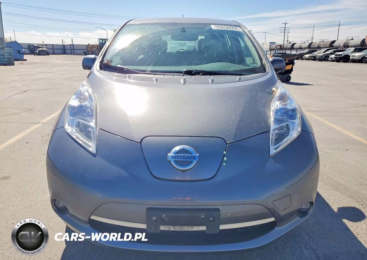 2016 Nissan Leaf S-30 VIN:1N4BZ0CP9GC313974 - 5