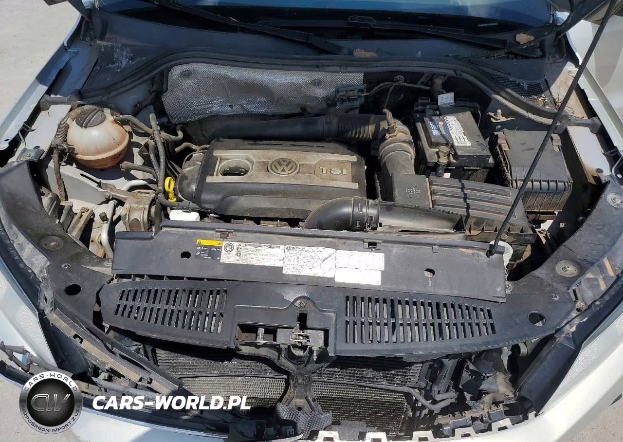 2015 Volkswagen Tiguan VIN:WVGBV7AXXFW568983 - 11