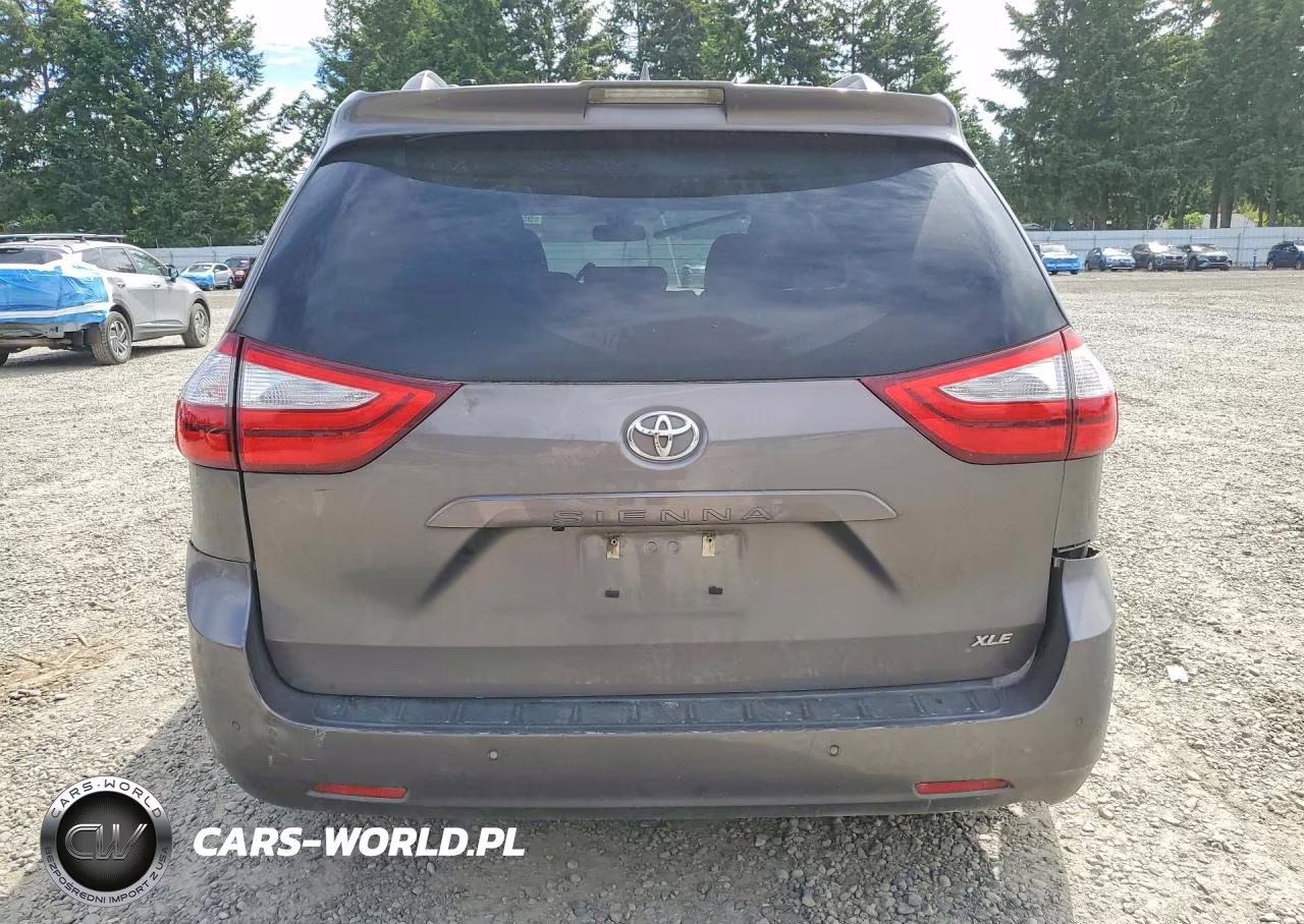 2018 Toyota Sienna Xle 8-Passenger VIN:5TDYZ3DC8JS933478 - 6
