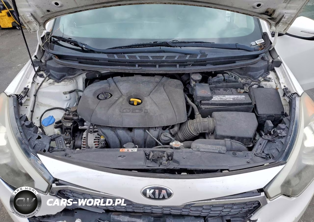 2016 Kia Forte Lx VIN:KNAFK5A86G5636616 - 11