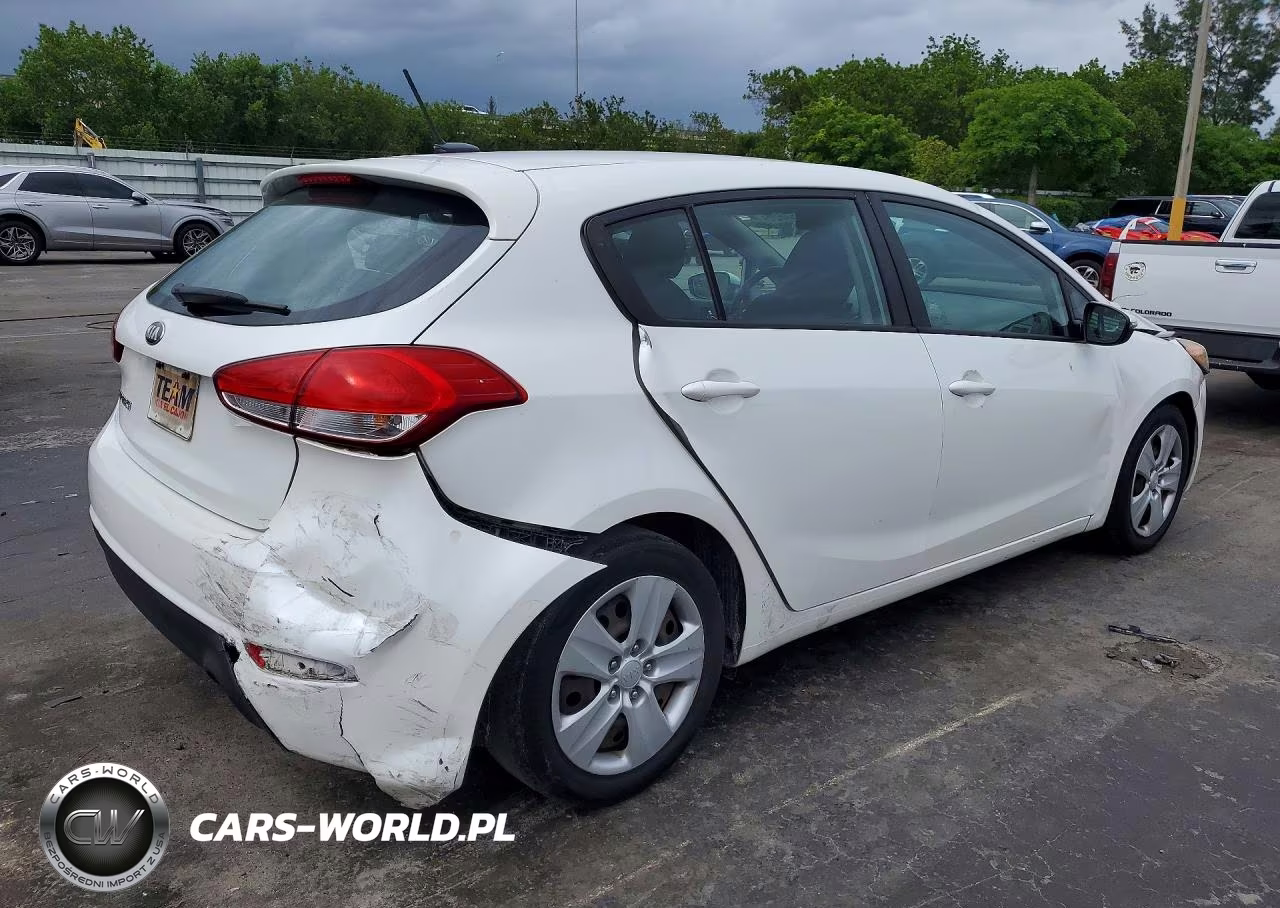2016 Kia Forte Lx VIN:KNAFK5A86G5636616 - 3