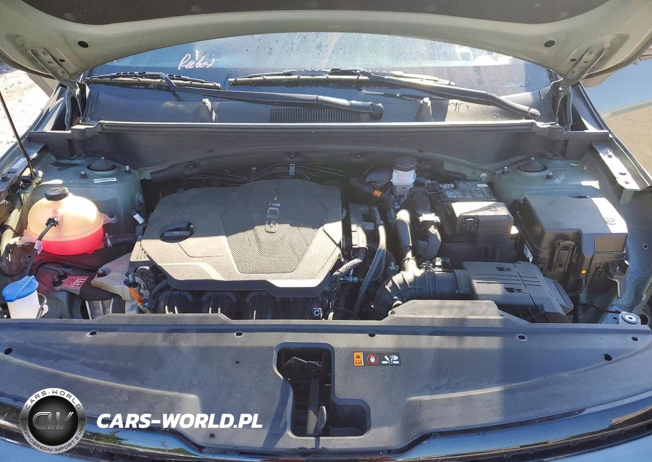 2023 Kia Sportage X Line VIN:5XYK6CAF7PG048014 - 12